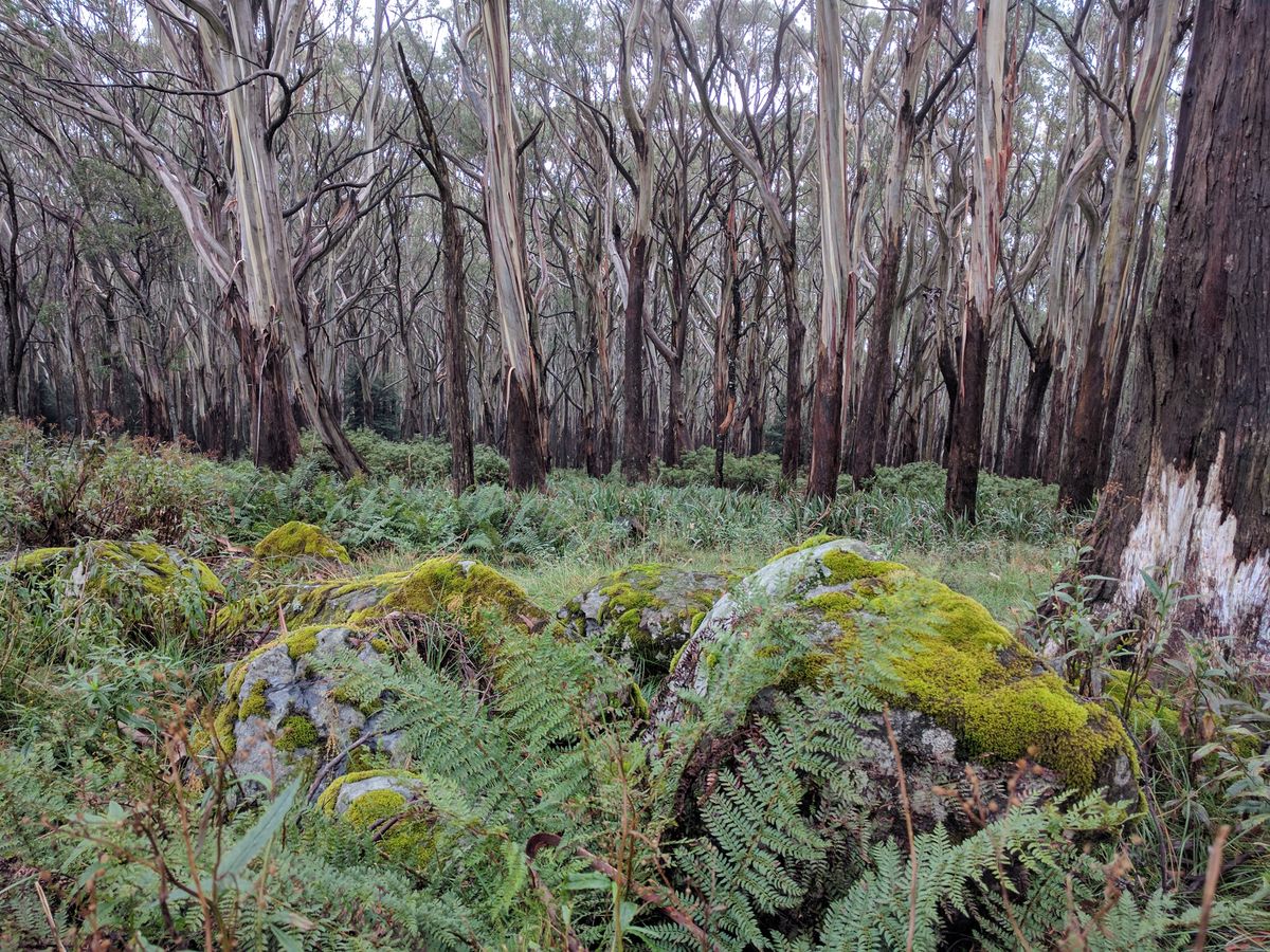 Acknowledgement of Traditional Owners