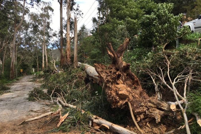 Climate Adaptation in the Yarra Ranges: Home Scale