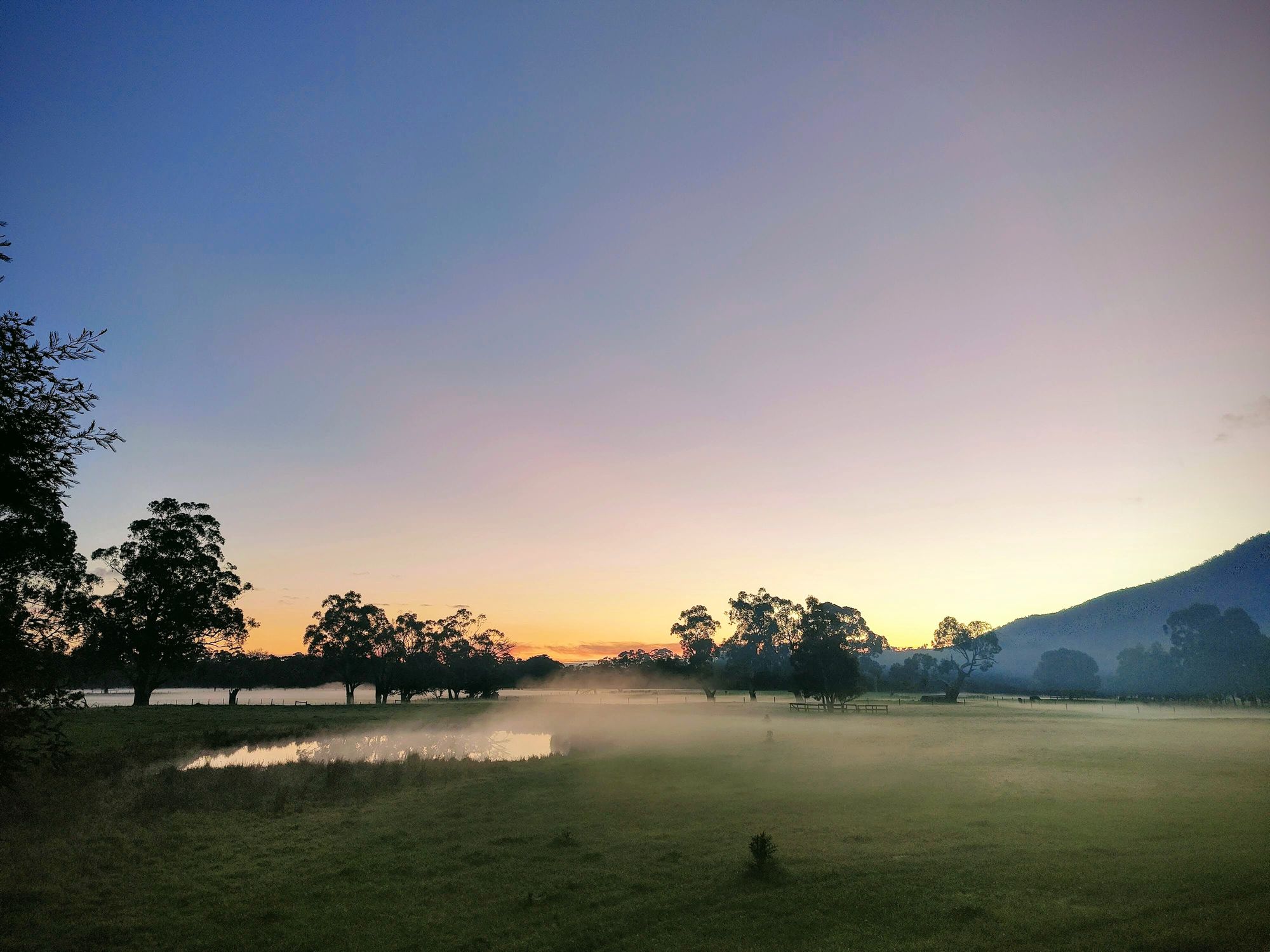 Horizon Scan: Emerging tech for nature conservation in the Yarra Valley