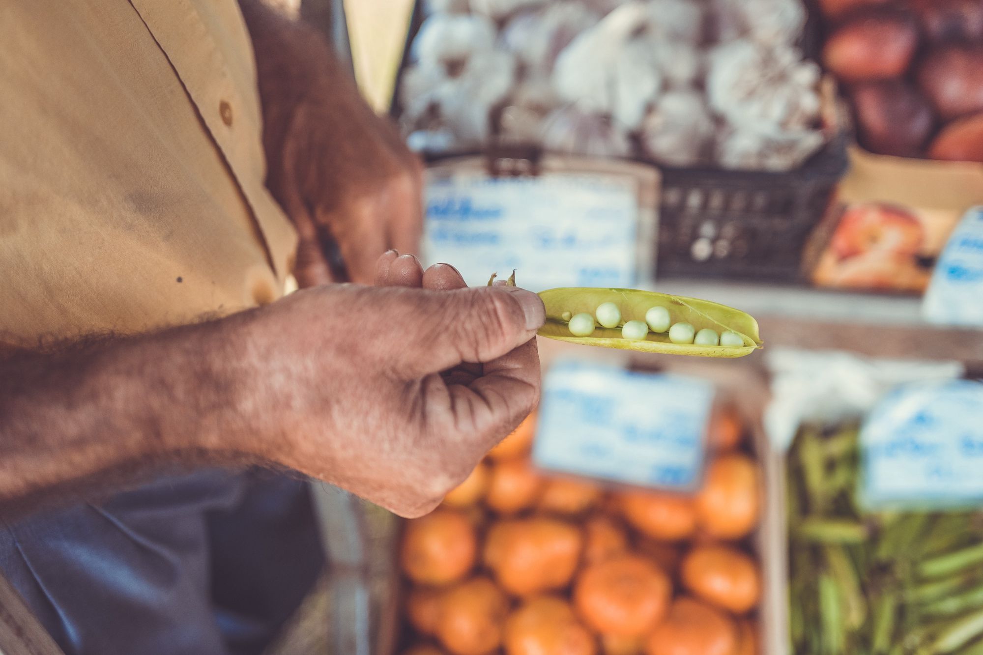 Person holds pod with peas inside